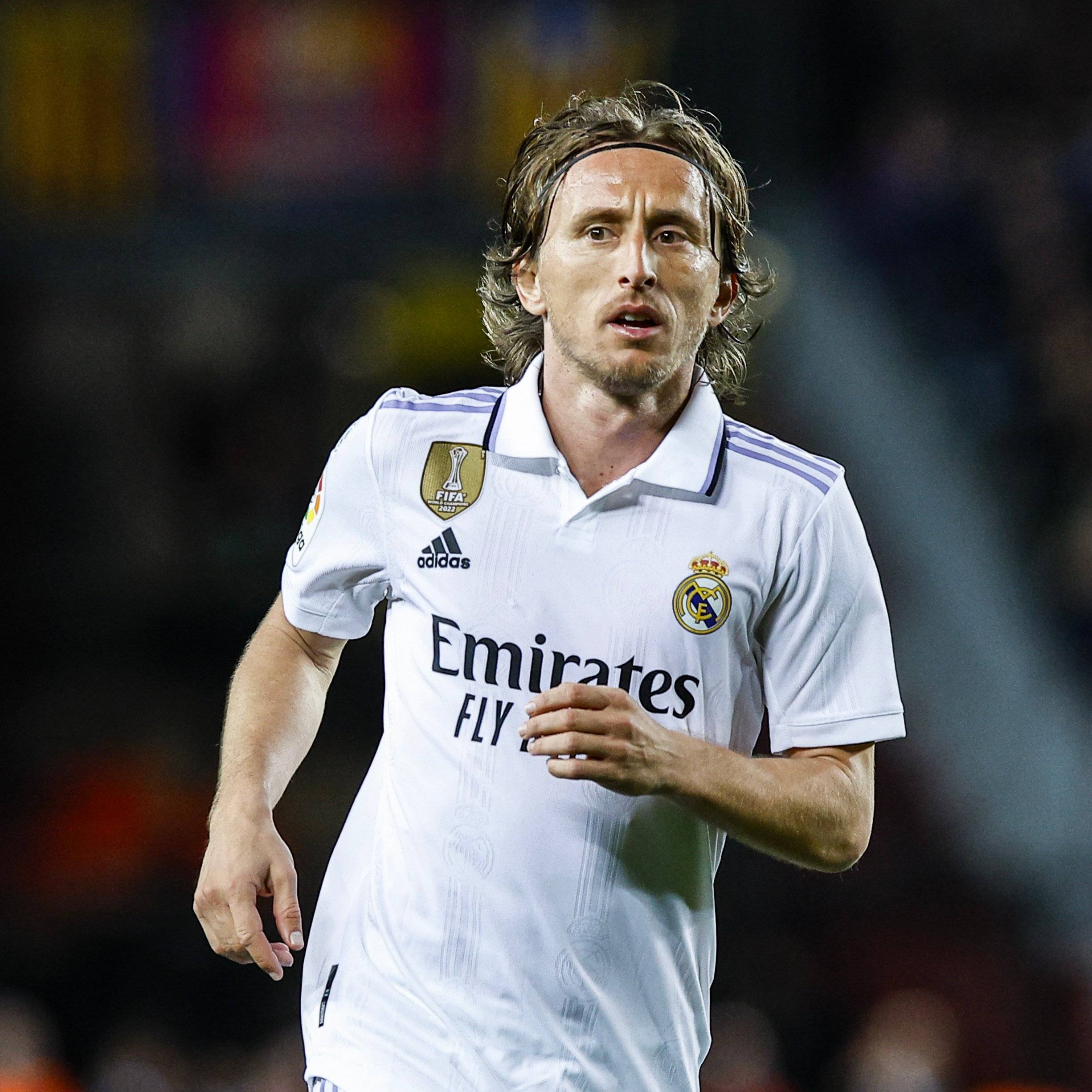 如果我是曼联高层，直接租米特洛维奇先顶着